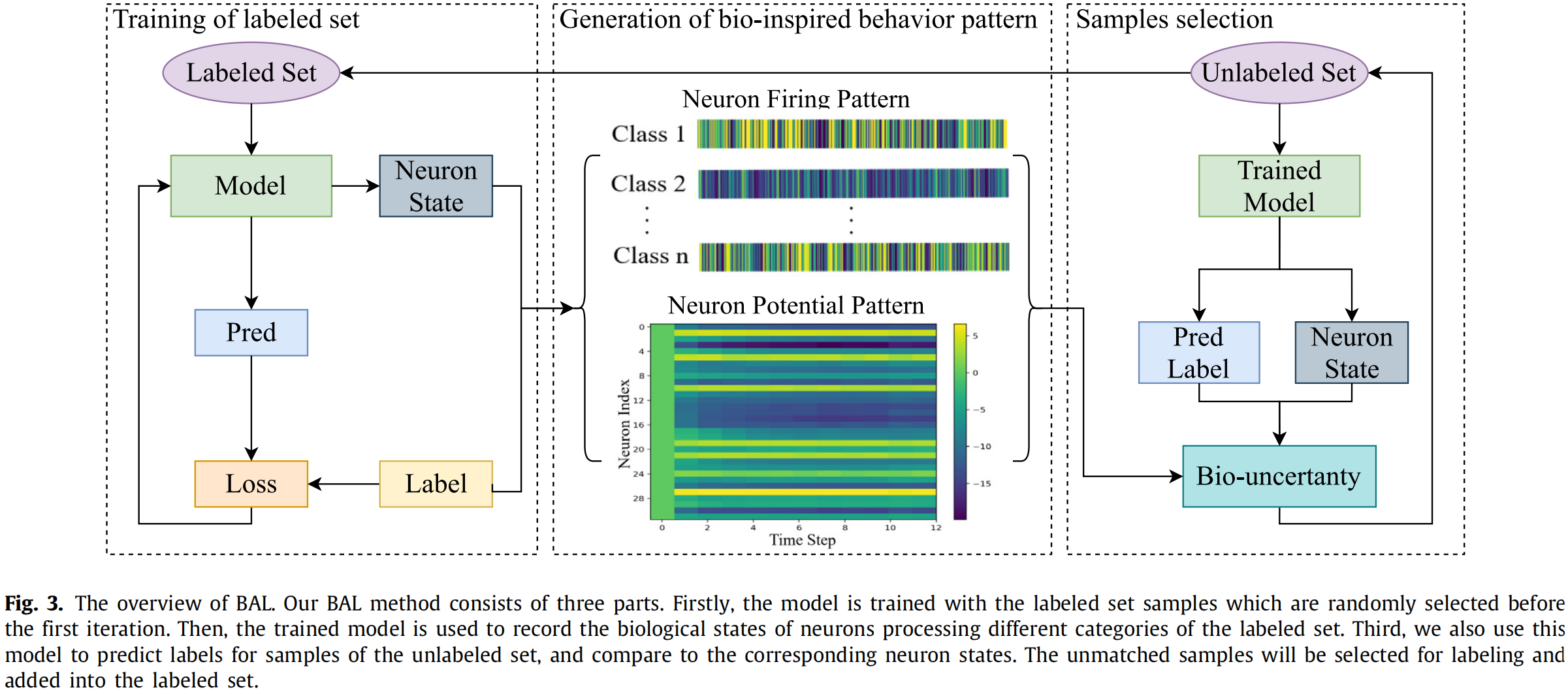 Bio-inspired Active Learning method in spiking neural network